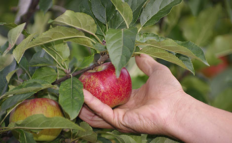 groupe-blottiere-2002