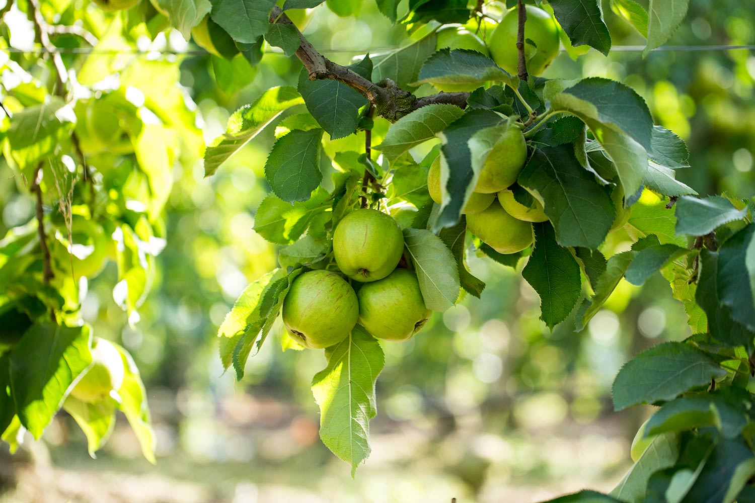 groupe-blottiere-accueil