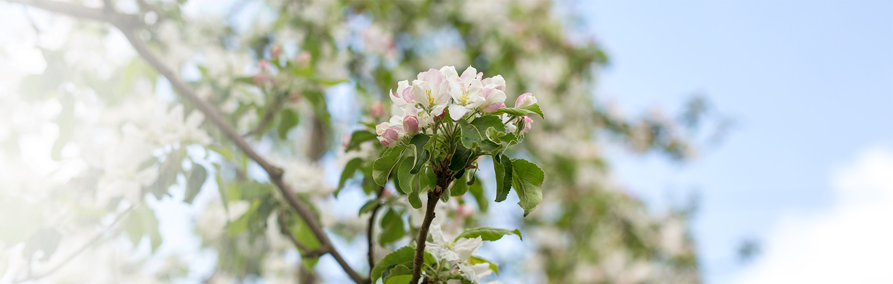 groupe-blottiere-contact02