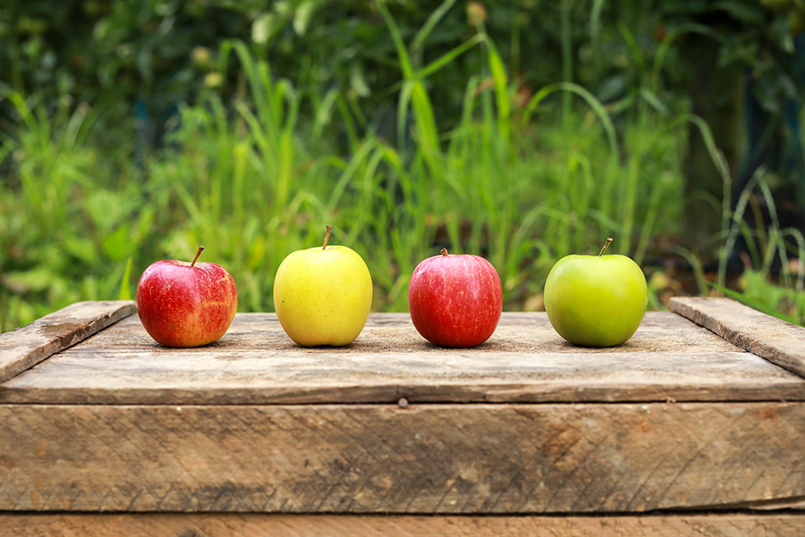 groupe-blottiere-groupe-ancre-val-loire