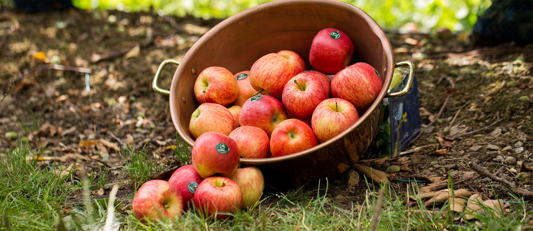 groupe-blottiere-groupe-historique