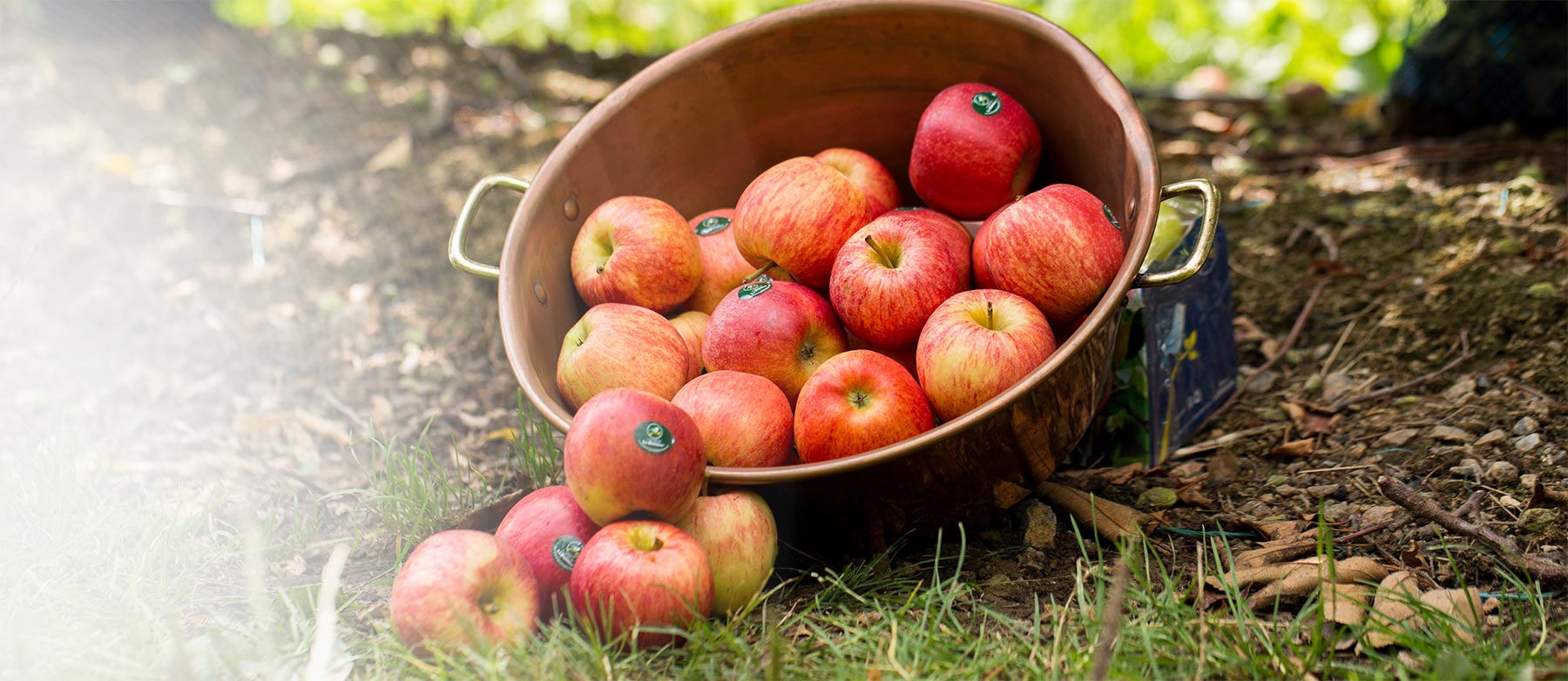 groupe-blottiere-groupe-historique02