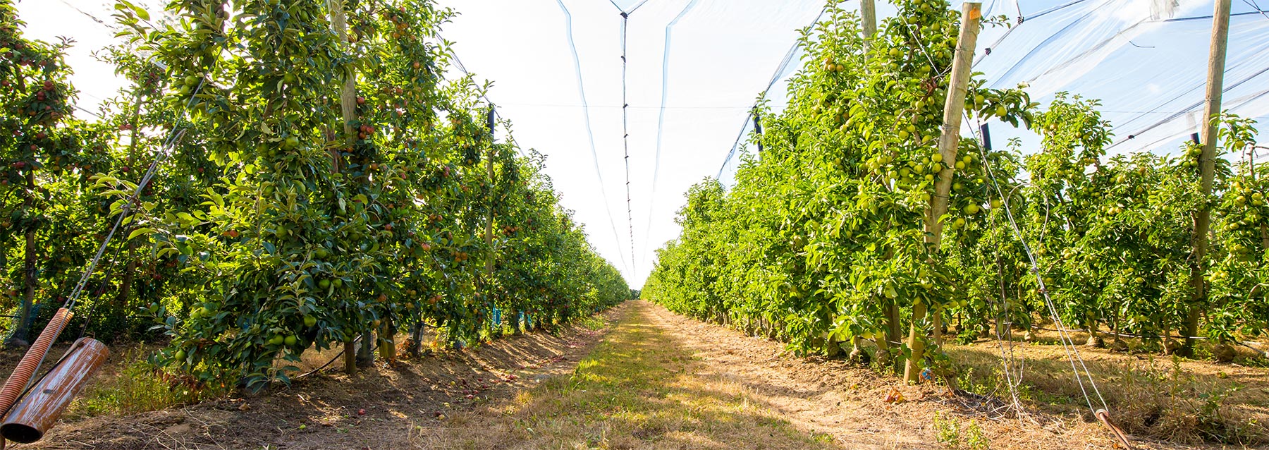 groupe-blottiere-groupe-presentation03