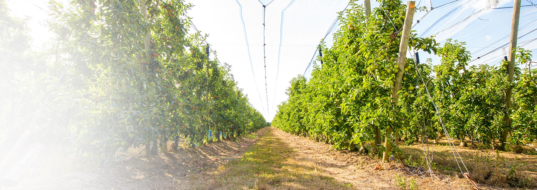 groupe-blottiere-groupe-presentation04