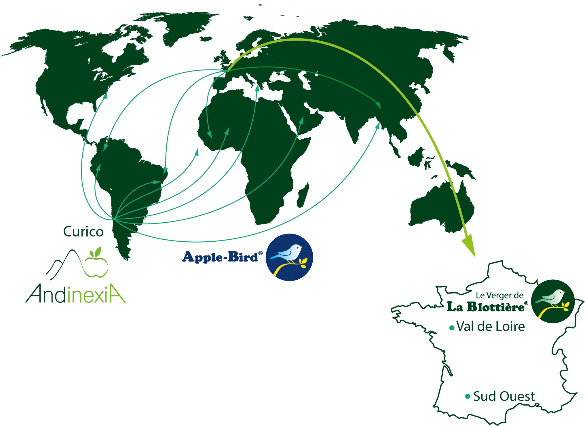 groupe-blottiere-presence-internationale