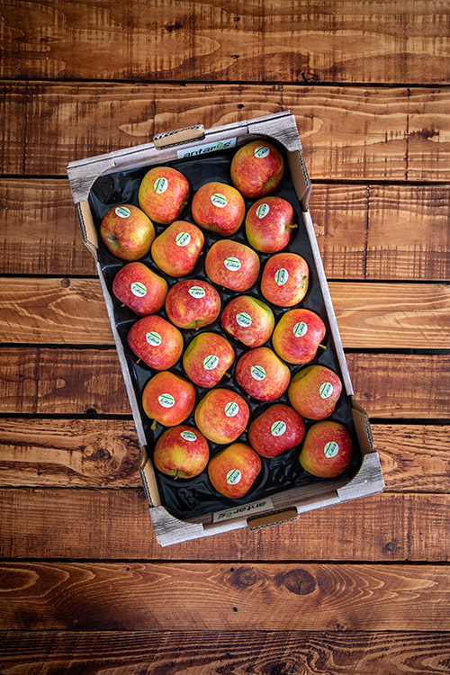 groupe-blottiere-savoir-faire-comercialisation