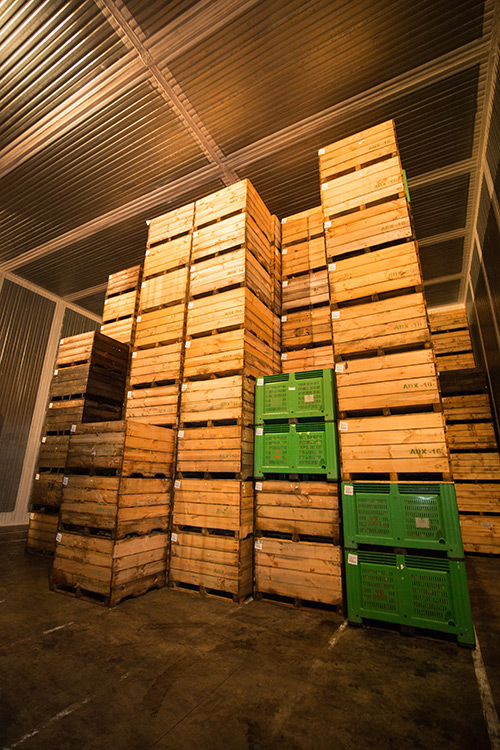 groupe-blottiere-savoir-faire-stockage02