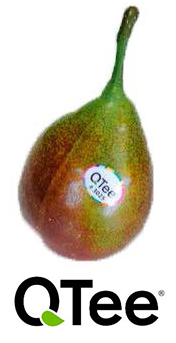 groupe-blottiere-marques-qtee