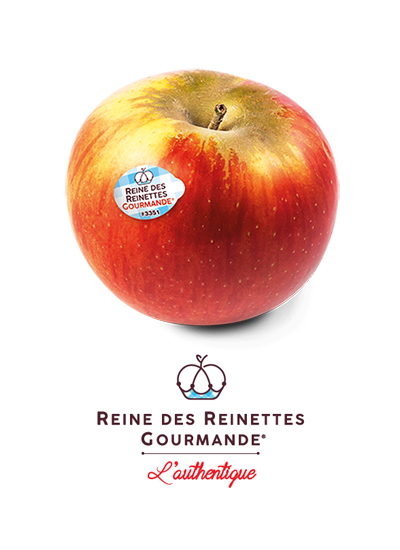 groupe-blottiere-marques-reine-reinettes